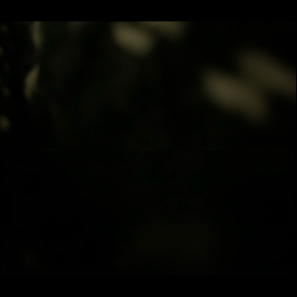 Meet your Posher, Dylan - Picture 1 of 1